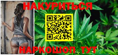 гашик Камышлов