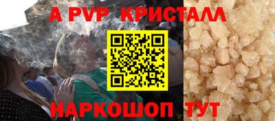 гашик Камышлов